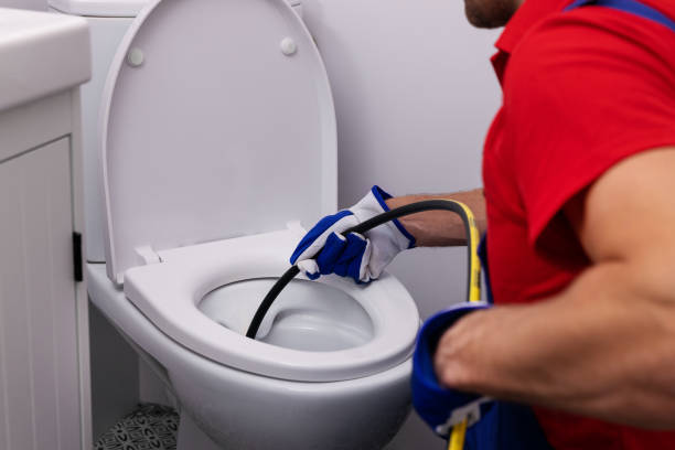 Best Local Plumber Services  in Earlvle, IL