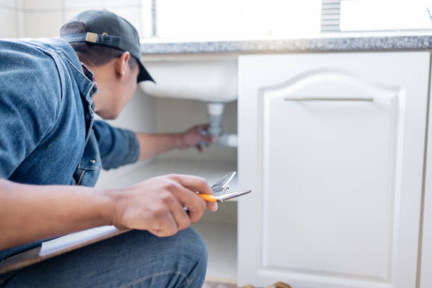 Best Plumbing Services Near Me  in Earlvle, IL