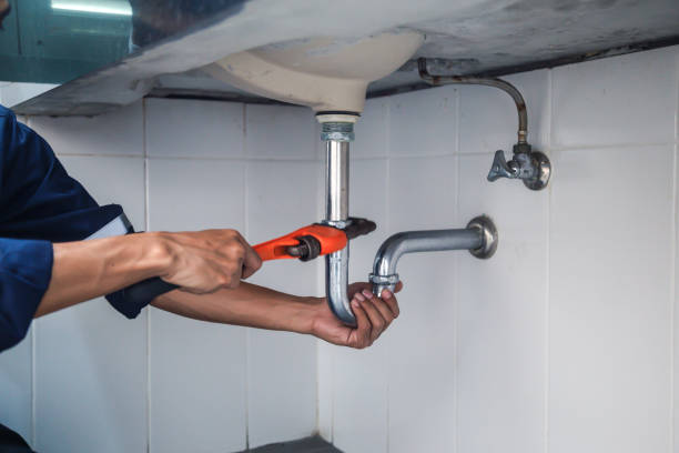 Best Same-Day Plumbing Service  in Earlvle, IL
