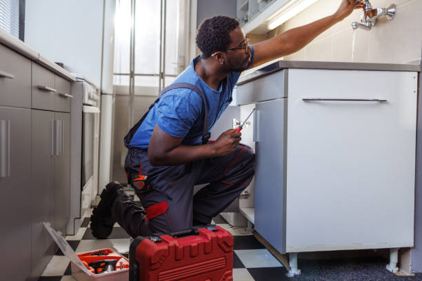 Best Shower Repair Services  in Earlvle, IL